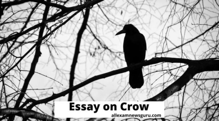 This shows: Crow essay