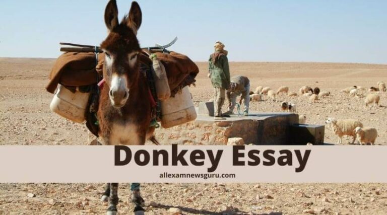 This shows: essay on donkey