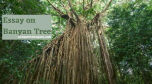 This is about: essay on banyan tree