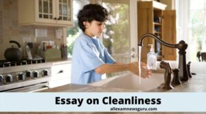 This shows: essay on cleanliness