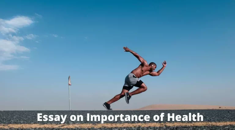 This is about: essay on importance of health