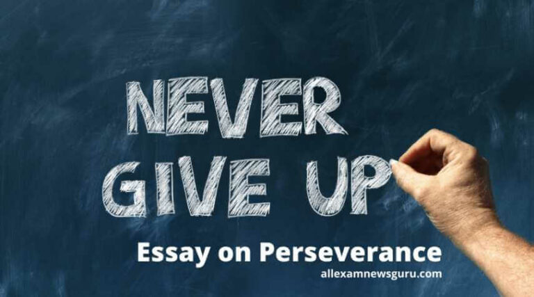 This shows: essay on perseverance