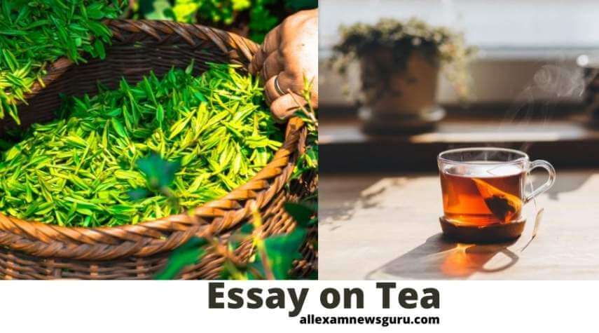 This shows: Essay on Tea