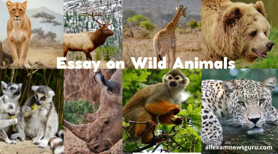 This is about: essay on wild animals