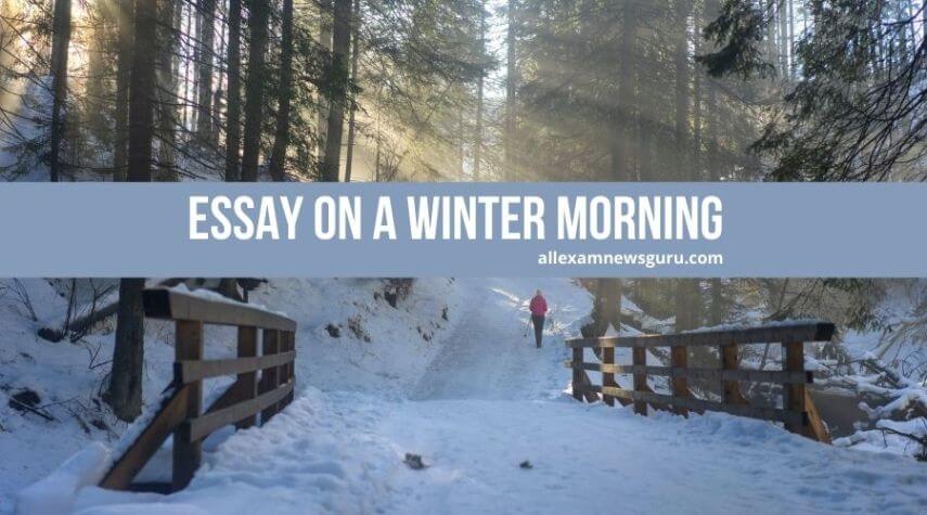 This is about: essay on a winter morning