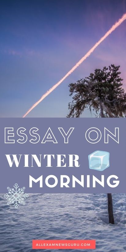 essay on winter 10 lines